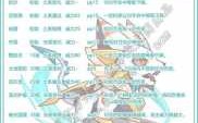 洛克王国所有技能石怎么得，洛克王国所有技能石效果？