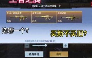 王者轮回多久更新一次，王者轮回什么时候出2021手游？