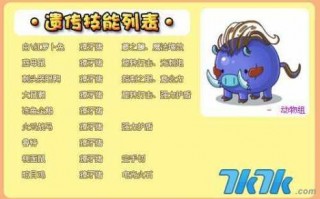洛克王国超进化有什么用，洛克王国超进化攻略