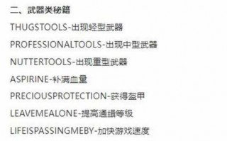 侠盗猎车怎么输入代码，电脑侠盗猎车怎么输入指令?？