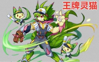 洛克王国魔力猫怎么进化成武斗酷猫，洛克王国魔力猫怎么进化成武斗酷猫宠物