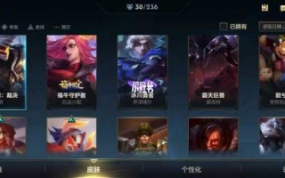 阿甘之城怎么换皮肤？阿甘之城怎么设置中文？