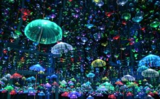 星月夜多少钱？星月夜多少钱成交的？