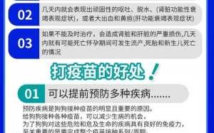 宠物狗疫苗多少钱一针，宠物狗的疫苗多少钱