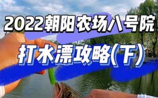 任天堂鲈鱼游戏攻略(switch按键功能详解？)