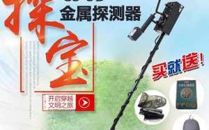 寻宝神器多少钱