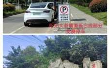 洛克王国悟空神辅助封包怎么用？洛克王国悟空神辅封包使用打过了,怎么还是显示没打？