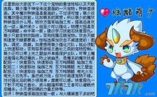 洛克王国独角兽怎么骑在背上，洛克王国独角兽怎么骑在背上的宠物