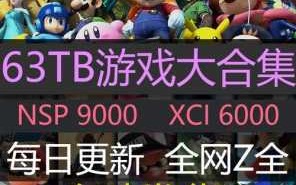 switch有中文版游戏吗