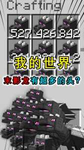 我的世界末影龙怎么去,我的世界末影龙怎么去末影城?-第1张图片 我的世界末影龙怎么去,我的世界末影龙怎么去末影城?-第1张图片