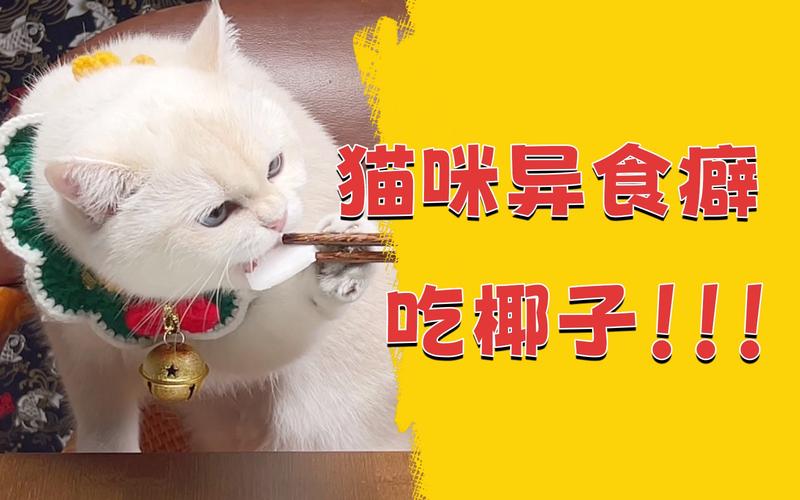 璺冲姩鐨勯煶绗︽父鎴忔敾鐣?/h2>