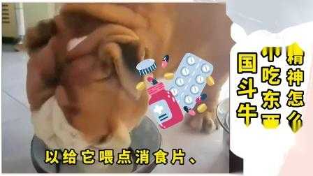 跳动的音符游戏攻略(指尖上的跳动音符是什么歌?)-第1张图片 跳动的音符游戏攻略(指尖上的跳动音符是什么歌?)-第1张图片