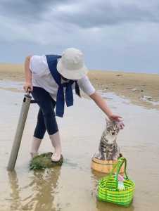 赶海躲猫猫游戏攻略(赶山赶海开饭店游戏攻略?)-第3张图片 赶海躲猫猫游戏攻略(赶山赶海开饭店游戏攻略?)-第3张图片