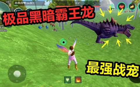 可以抓龙的游戏-第4张图片 可以抓龙的游戏-第4张图片