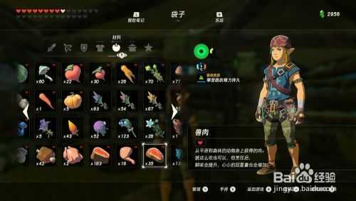 塞尔达防寒服怎么获得?塞尔达防寒服具体位置?-第2张图片 塞尔达防寒服怎么获得?塞尔达防寒服具体位置?-第2张图片