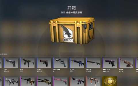 csgo迈阿密风云多少钱?csgo迈阿密风云吃磨损吗?-第3张图片 csgo迈阿密风云多少钱?csgo迈阿密风云吃磨损吗?-第3张图片