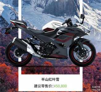 川崎400落地多少钱?川崎400裸車(chē)?-第3张图片 川崎400落地多少钱?川崎400裸車(chē)?-第3张图片