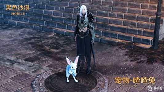 黑色沙漠台服多少钱,黑色沙漠台服多少钱一个-第3张图片 黑色沙漠台服多少钱,黑色沙漠台服多少钱一个-第3张图片
