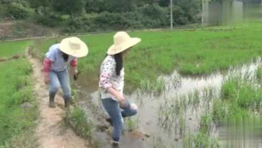 洛克王国绿色钥匙难刷吗？洛克王国蓝色钥匙难刷吗？-第1张图片