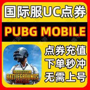 绝地求生世界服怎么充值教程,绝地求生世界服手游怎么充钱-第3张图片 绝地求生世界服怎么充值教程,绝地求生世界服手游怎么充钱-第3张图片