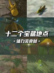 塞尔达荒野之息怎么烹饪,塞尔达旷野之息怎么烹饪-第2张图片 塞尔达荒野之息怎么烹饪,塞尔达旷野之息怎么烹饪-第2张图片