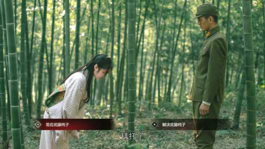 隐形守护者最低多少钱,隐形守护者值得买吗?-第2张图片 隐形守护者最低多少钱,隐形守护者值得买吗?-第2张图片