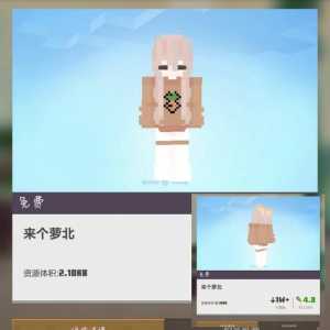 minecraft皮肤怎么换，minecraft更换皮肤？-第2张图片