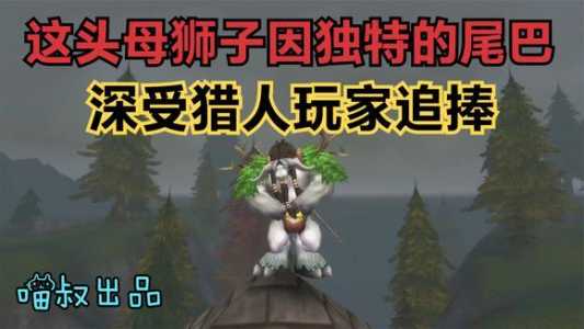 魔兽世界懷(huái)旧服猎人宝宝技能怎么学,魔兽世界懷(huái)旧版猎人宝宝技能点花费?-第2张图片 魔兽世界懷(huái)旧服猎人宝宝技能怎么学,魔兽世界懷(huái)旧版猎人宝宝技能点花费?-第2张图片