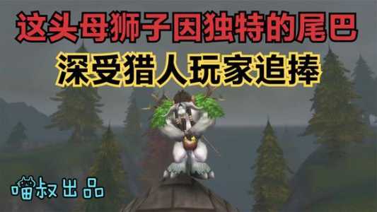 魔兽世界懷(huái)旧服猎人宝宝技能怎么学，魔兽世界懷(huái)旧版猎人宝宝技能点花费？-第2张图片