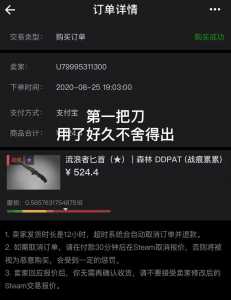 steam上的csgo是什么服？csgo steam上叫什么？-第2张图片