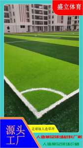足球场草坪多少钱一平米，足球场草坪多少钱一平米-第3张图片