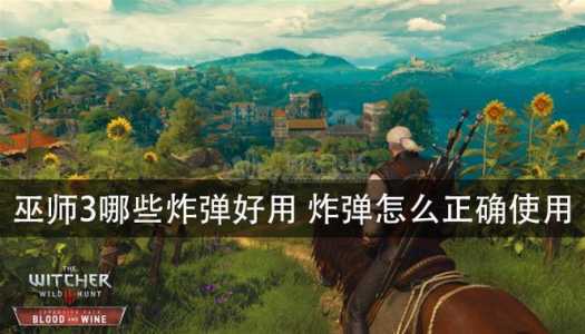 巫师2国王刺客如何使用焚风炸弹?巫师2国王刺客图文攻略?-第2张图片 巫师2国王刺客如何使用焚风炸弹?巫师2国王刺客图文攻略?-第2张图片