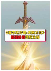 塞爾(ěr)达传说荒野之息大师剑怎么拿?塞爾(ěr)达传说荒野之息大师剑怎么拿的?-第3张图片 塞爾(ěr)达传说荒野之息大师剑怎么拿?塞爾(ěr)达传说荒野之息大师剑怎么拿的?-第3张图片