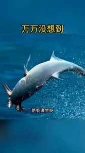 洛克王国匿林螳螂怎么打他,洛克王国匿林螳螂厉害吗-第4张图片 洛克王国匿林螳螂怎么打他,洛克王国匿林螳螂厉害吗-第4张图片