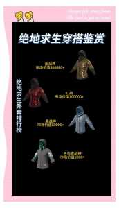 绝地求生衣服怎么卖?绝地求生衣服怎么交易?-第2张图片 绝地求生衣服怎么卖?绝地求生衣服怎么交易?-第2张图片