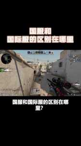 csgo国服怎么切换外服,csgo选取了国服后怎么切换到世界服?-第4张图片 csgo国服怎么切换外服,csgo选取了国服后怎么切换到世界服?-第4张图片