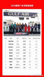 f1赛车手工资多少？f1赛车赛车手收入？-第3张图片