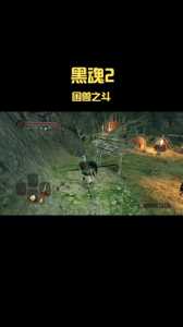 黑暗之魂2楔形石块在哪刷，黑暗之魂2楔形石碎片怎么刷？-第4张图片