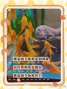 成吉思汗鱼多少钱一只,成吉思汗鱼有什么寓意?-第3张图片 成吉思汗鱼多少钱一只,成吉思汗鱼有什么寓意?-第3张图片