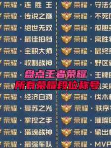 王者荣耀荣专属耀称号有哪些?荣耀王者的专属标志?-第6张图片 王者荣耀荣专属耀称号有哪些?荣耀王者的专属标志?-第6张图片