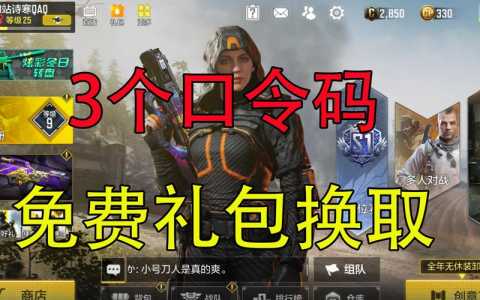 使命召唤手游兑换码在哪里输?使命召唤手游兑换码在哪里输入2022?-第4张图片 使命召唤手游兑换码在哪里输?使命召唤手游兑换码在哪里输入2022?-第4张图片