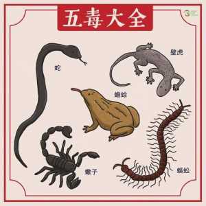 天刀ol平民玩家能当杀手吗?天刀ol平民选什么职业好??-第3张图片 天刀ol平民玩家能当杀手吗?天刀ol平民选什么职业好??-第3张图片
